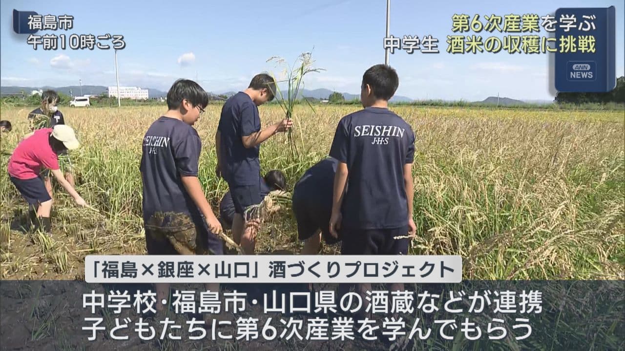 自ら植えた酒米を収穫　福島市の中学生が第6次産業を学ぶ体験学習