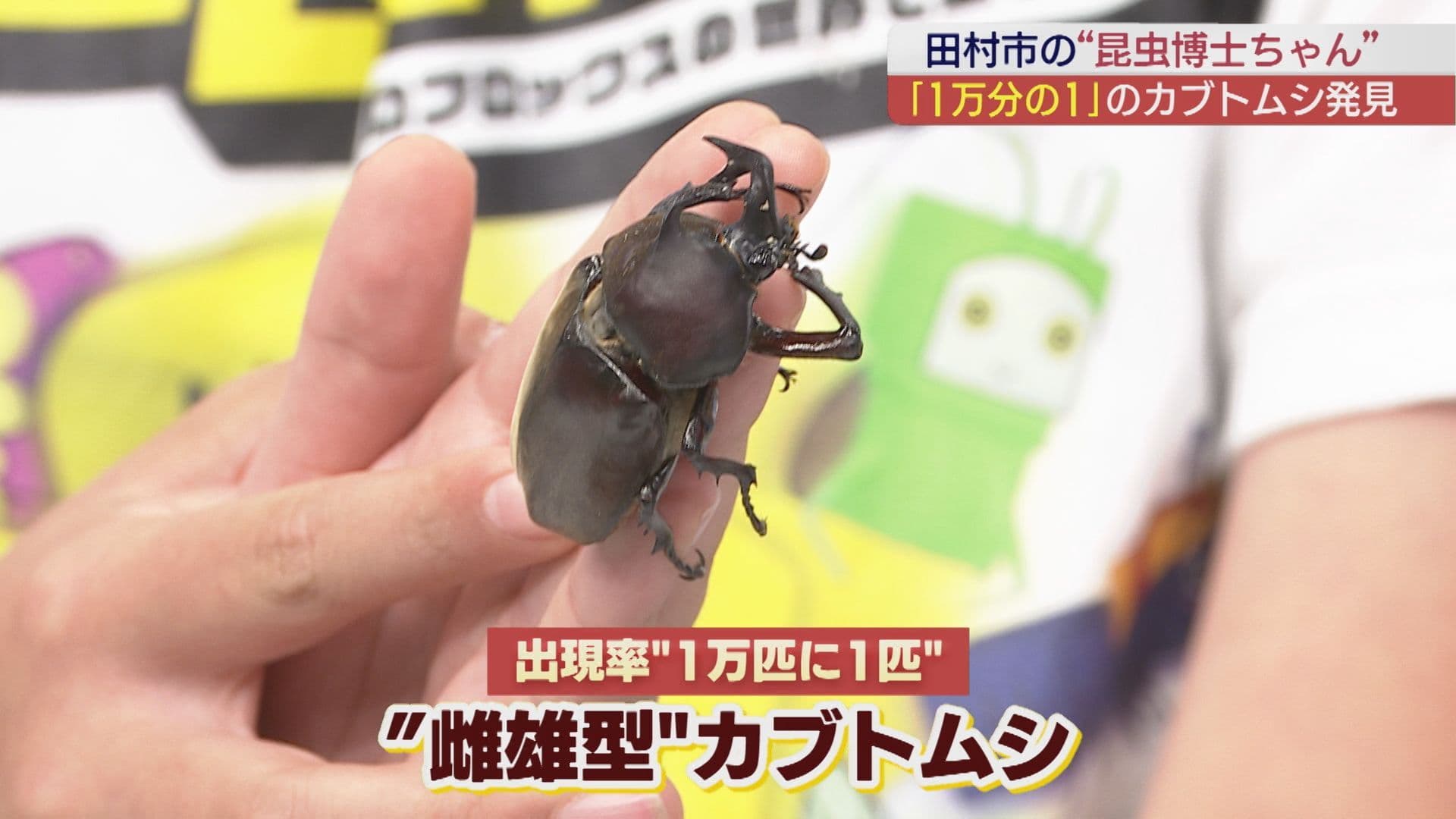 出現率は１万分の１の激レア「カブトムシ」が！　ムシムシランドはシーズン開幕で放虫式