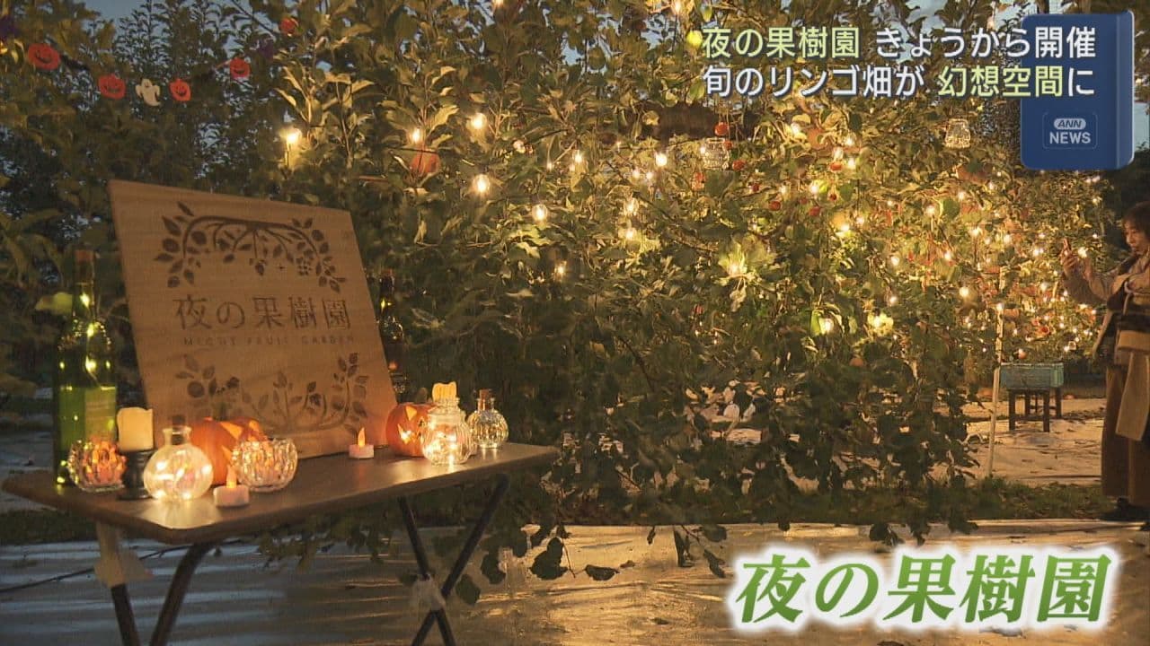 夜の果樹園　旬のリンゴ畑が幻想空間に