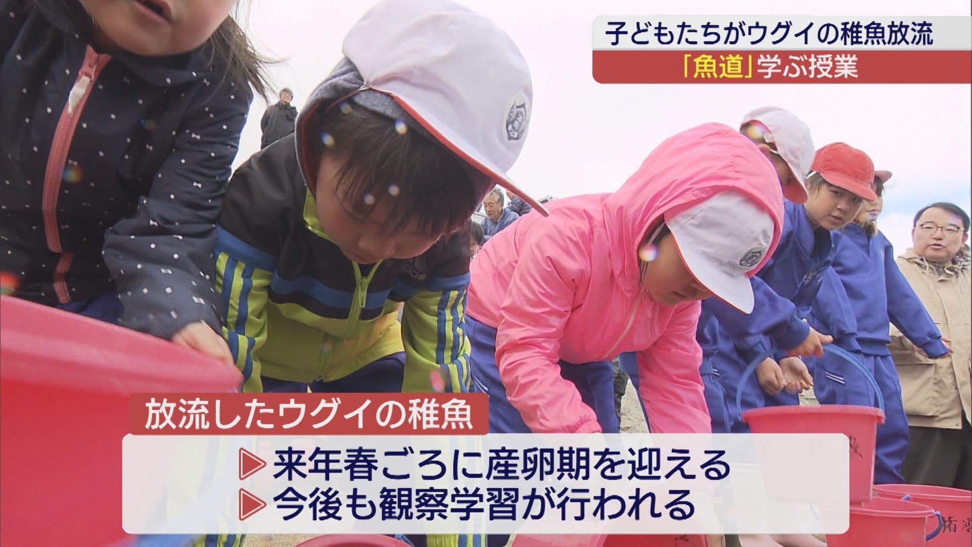 常夏川に魚道が完成　児童が稚魚を放流しながら学ぶ