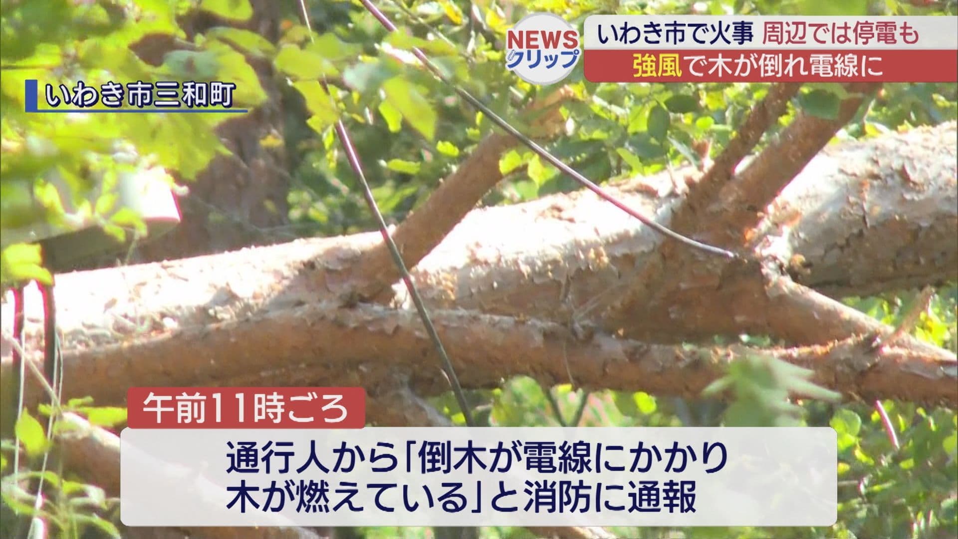 いわき市の山林 強風で倒木 電線に接触して火事か 周辺では停電も
