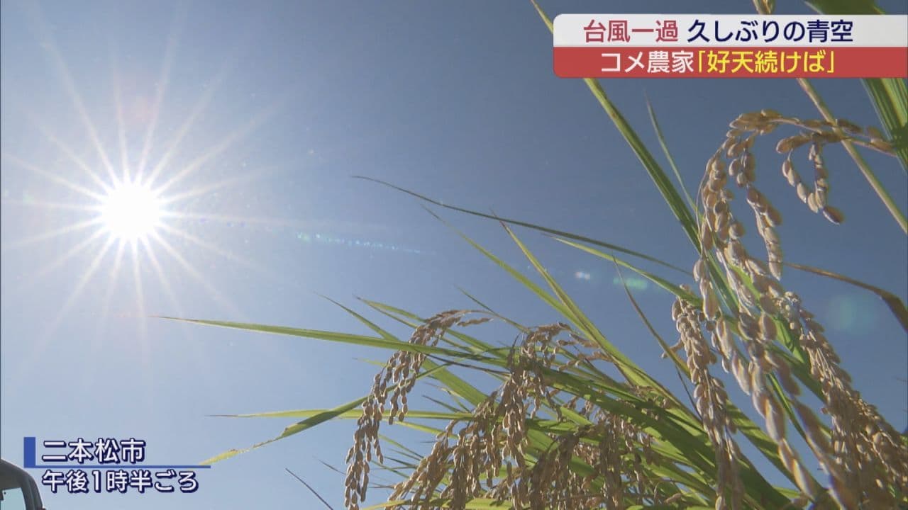 台風一過で久しぶりの晴れ間も　長雨で農家は収穫進まず