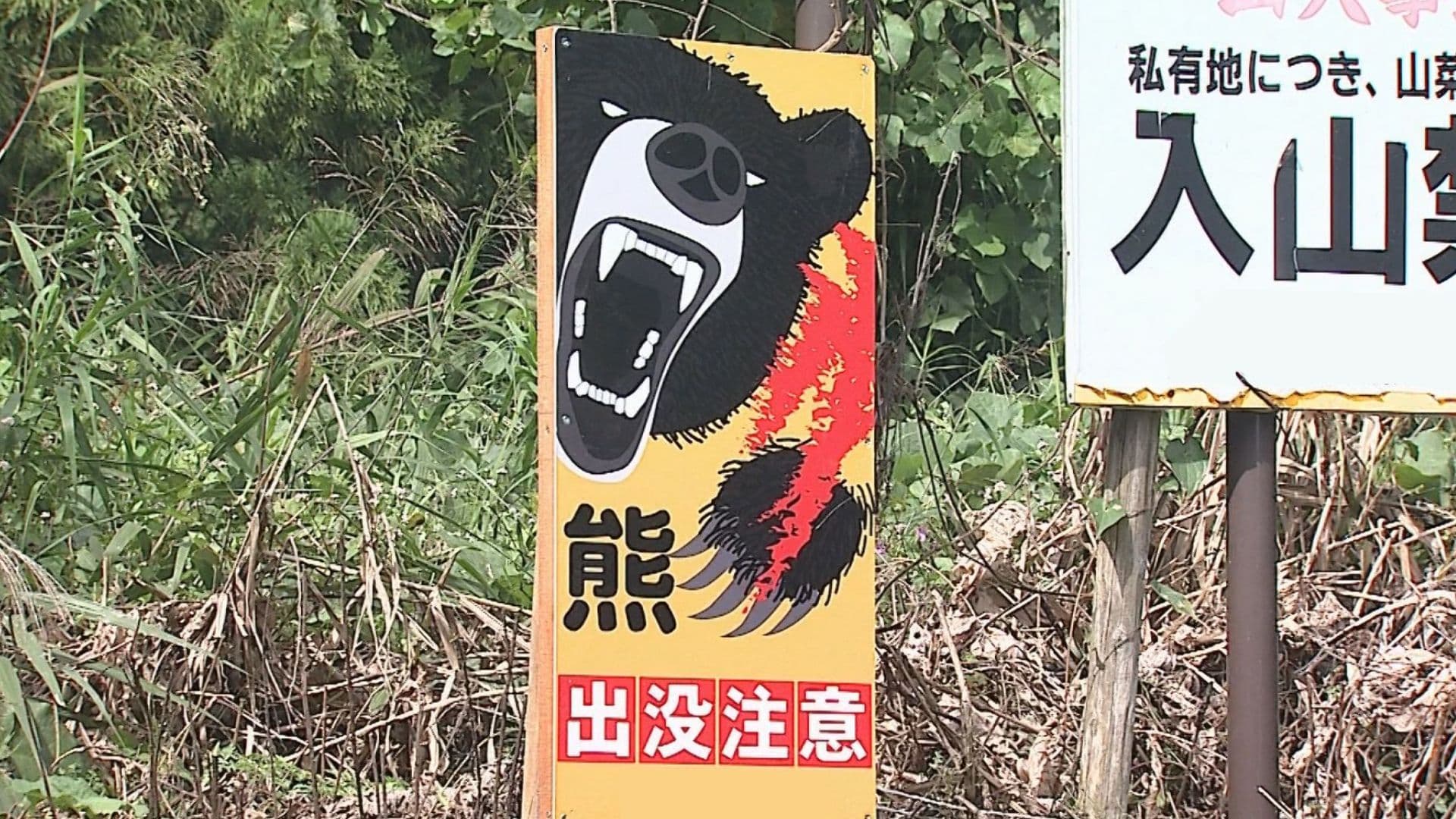 【速報】会津美里町で８０代女性がクマに襲われけが