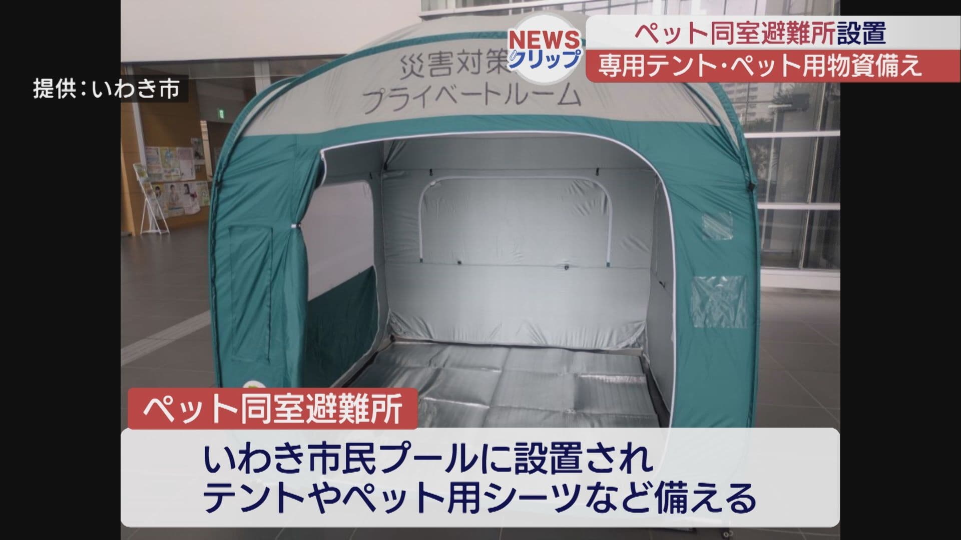 災害時のペット同伴避難が可能に　いわき市がペット同室避難所を設置