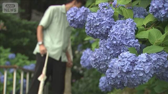 【速報】北陸と東北南部が梅雨入り 平年比でそれぞれ9日と8日遅い