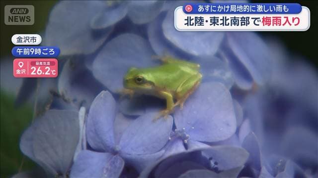 アジサイ似合う梅雨入り/雨でもプール開きに歓声… 明日にかけては大雨に注意