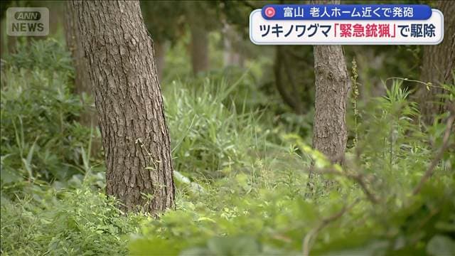 「緊急銃猟」老人ホーム近くで発砲しグマ駆除 目撃相次ぎ警戒中 富山・朝日町