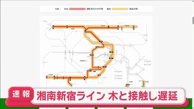 【速報】JR湘南新宿ラインに遅れ 倒木に列車が接触