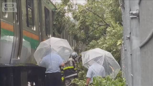 JR湘南新宿ラインが運転再開 木との接触で一時運転見合わせ