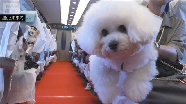 「わんわんエクスプレス」 愛犬と一緒に新幹線で旅行 制帽をかぶって記念撮影も