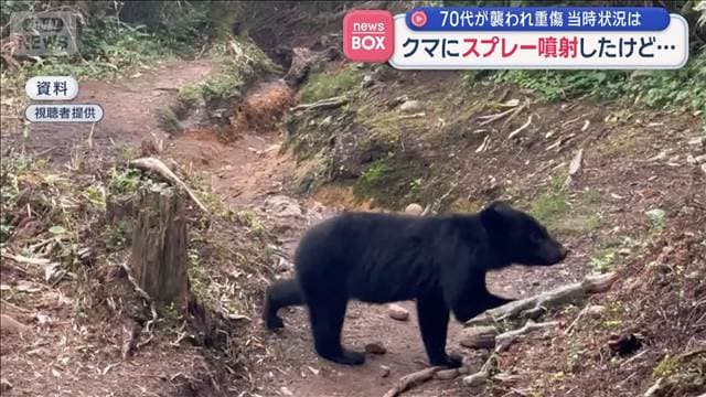 クマにスプレー噴射するも再び… “タケノコ採り”70代女性が襲われ重傷