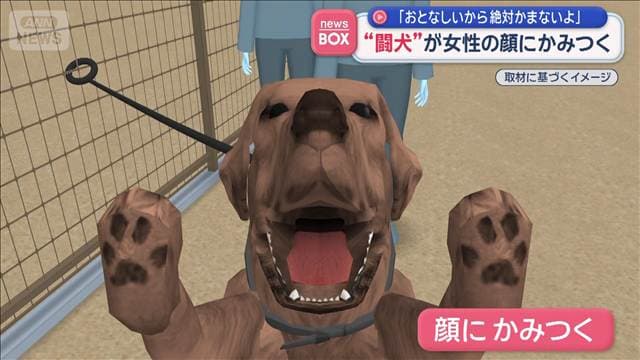 “闘犬”が女性の顔にかみつく 「おとなしいから絶対かまないよ」 2歳男児もけが