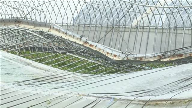 福岡・久留米市で突風か 農業用ハウス約20棟以上が壊れる被害
