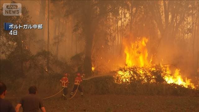 記録的な猛暑 ヨーロッパで山火事相次ぐ スペインやポルトガルで甚大な被害