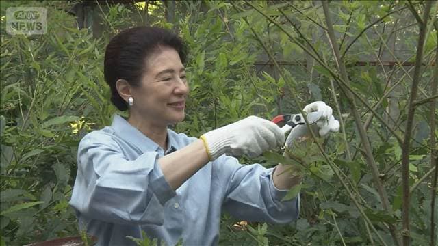 皇后さま 繭の収繭に挑まれる 皇居の紅葉山御養蚕所で