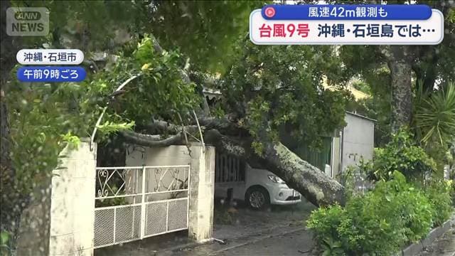 大型で強い台風9号 風速42m観測も 沖縄・石垣島では