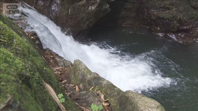 愛知と岐阜で水難事故相次ぐ 24歳と65歳の男性が死亡
