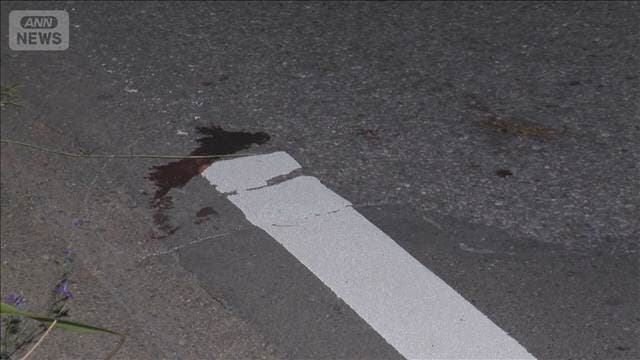 ひき逃げされ80代女性死亡 軽貨物車は逃走 警察が捜査 茨城・筑西市