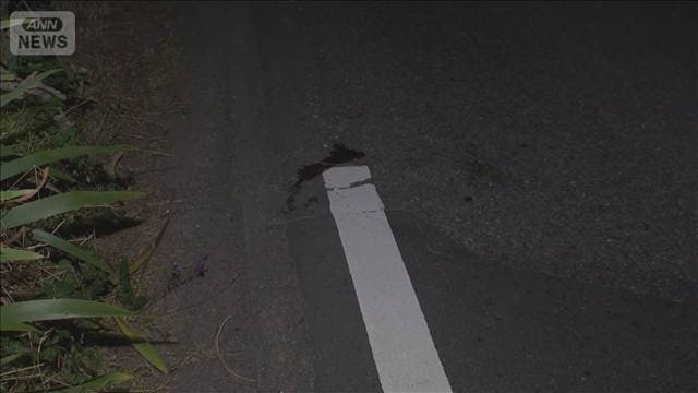 ひき逃げか…逮捕の男から基準値超アルコール検出 80代女性が死亡 茨城・筑西市
