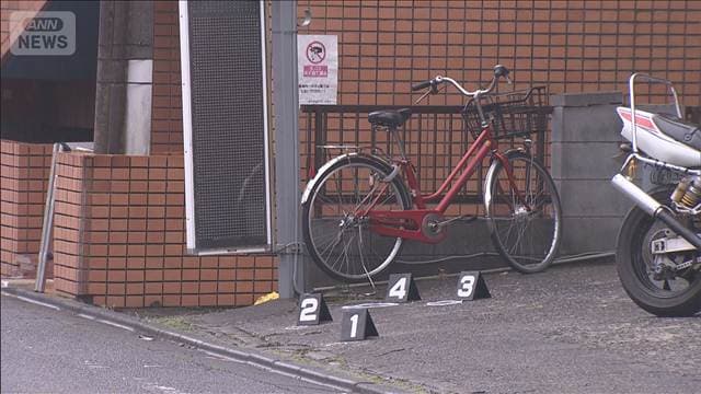 ハンマー男 初公判「今はまだ言えません」