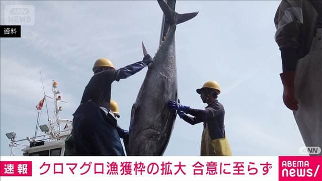 太平洋クロマグロの国際会議 来年の漁獲枠拡大の合意至らず メキシコが反発
