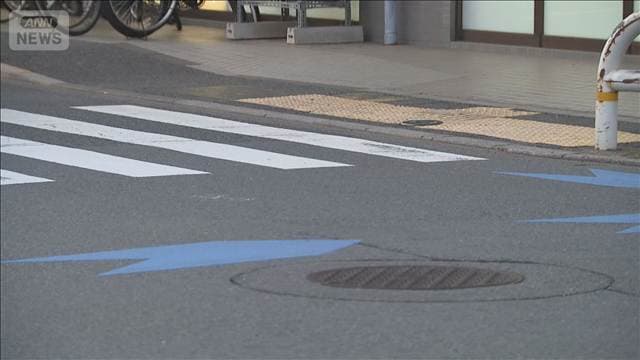小3男児 車にはねられ死亡 青信号の横断歩道で 車を運転の男を逮捕