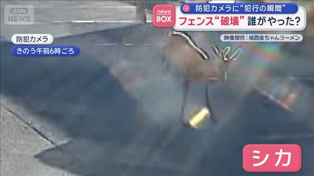 フェンス“破壊”誰がやった? 防犯カメラに“犯行の瞬間”