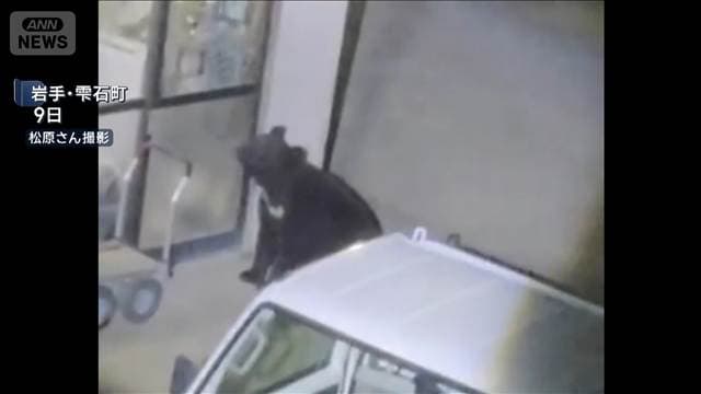 クマ1頭を捕獲 住宅侵入を繰り返した個体か 岩手・雫石町