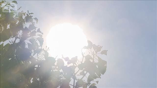 夏バテ「業務に影響した」64.4% 対策している企業32.7%…冷蔵庫設置や夏季休暇拡大