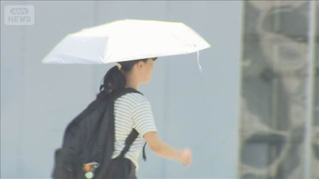 関東・東海で40℃迫る 今年初の「酷暑日」か 危険な暑さ 熱中症に厳重警戒