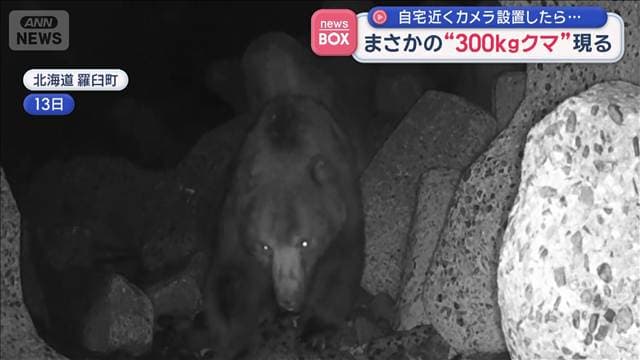 自宅近くカメラを設置したら… まさかの“300キロクマ”現る 北海道羅臼町