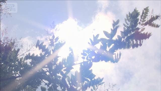 【速報】都内 熱中症の疑いで181人が救急搬送 午後3時時点で“過去最多”