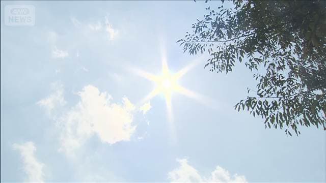 熱中症搬送者数が1万人超 7月13日~19日