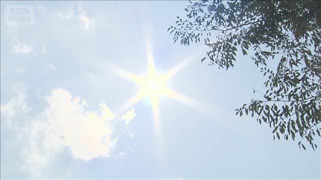 都内22日の熱中症搬送560人、2日連続で最多更新 栃木では水田作業の男性死亡