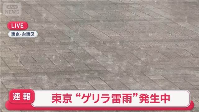 東京都にレベル4大雨危険警報 関東にゲリラ雷雨発生