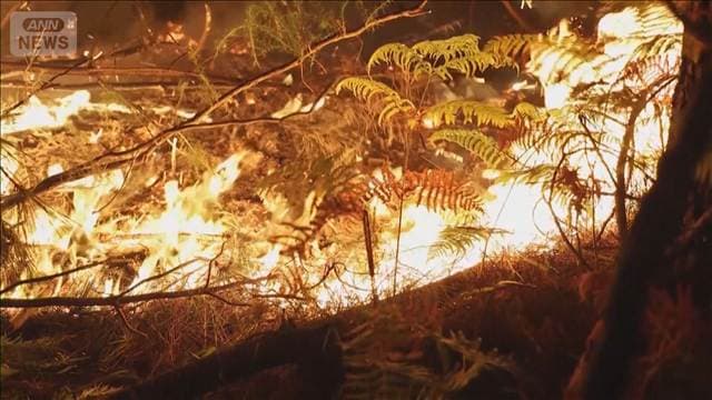 フランスの山火事 発生6日目 22万人避難 ボルドーに迫る