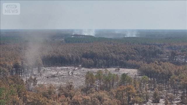 フランス南西部を襲う熱波と山火事 最高41℃を観測 一部の町で帰宅許可も警戒続く