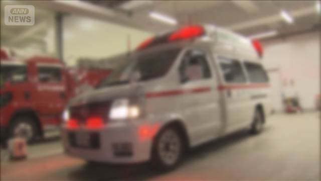 倉庫が炎上し自動車工場兼住宅も被害 消火活動中 群馬・藤岡市