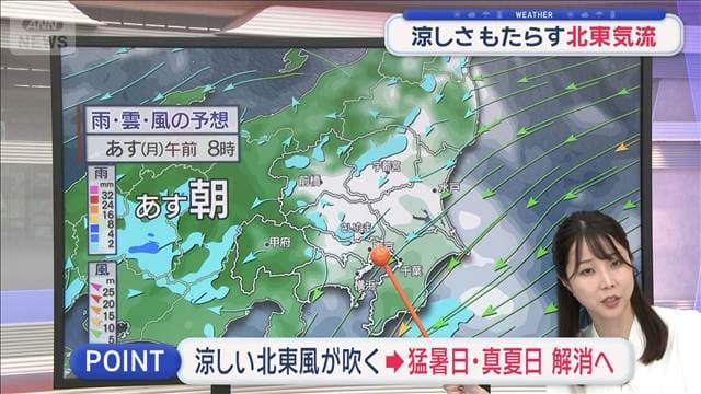 【関東の天気】大気不安定 今夜もゲリラ雷雨に警戒 東京 6日ぶりに猛暑日解消