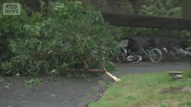 台風13号 夕方に小笠原諸島に最接近 「停電繰り返している」