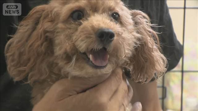 ペットと過ごせる避難所開設 10年前 熊本地震の課題
