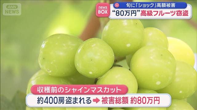“80万円”高級フルーツ窃盗 旬に「ショック」高額被害