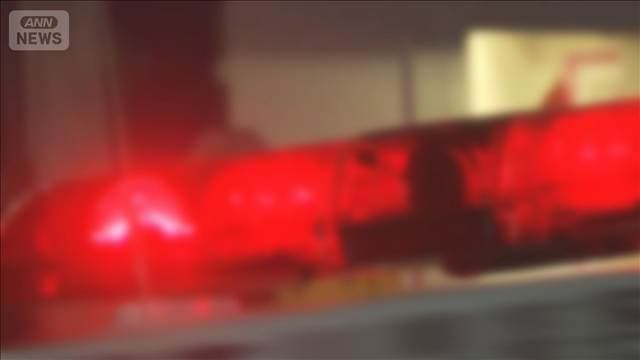 海水浴場で男性2人が溺れる 1人が心肺停止 千葉・南房総市