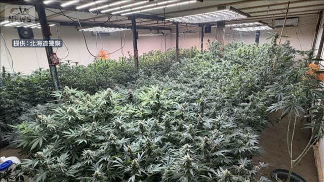倉庫で1億円相当の大麻栽培 2人逮捕 北海道・日高町