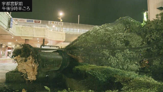 台風15号上陸 栃木県内で倒木相次ぐ 宇都宮駅前や東北道で道を塞ぐ
