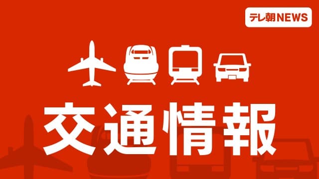 宇都宮線の全線で運転再開 倒木との衝突などで一時運転見合わせ JR東日本