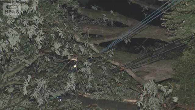 台風初上陸の茨城 3人けが 倒木相次ぎ運転見合わせも
