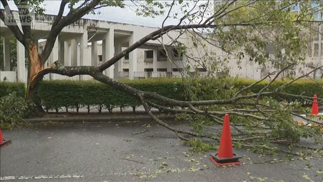 台風15号が熱帯低気圧に 新たに台風17号発生 来週にかけ日本の東を北上か