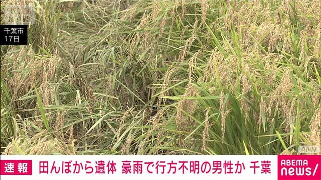 田んぼで50~60代男性の遺体見つかる 豪雨による不明者か 千葉市若葉区