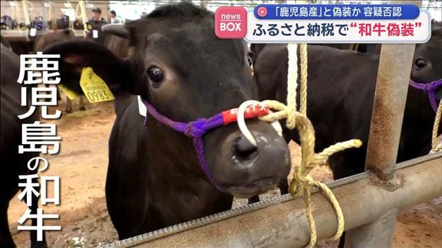 ふるさと納税で“和牛偽装”「鹿児島産」と偽装か 容疑否認